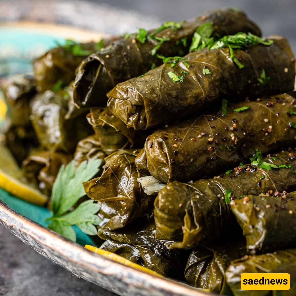 dolma