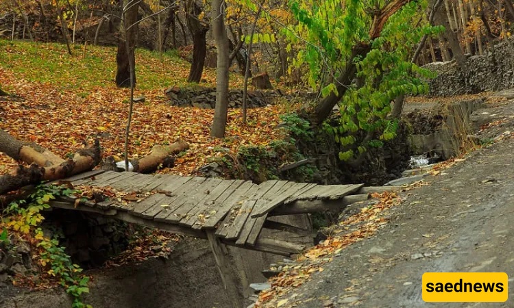 Kang Village