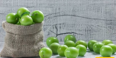 Green Plum: Calories, Nutritional Value, and Remarkable Health Benefits