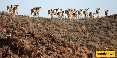 Khabr National Park: Iran’s Wilderness at Its Best