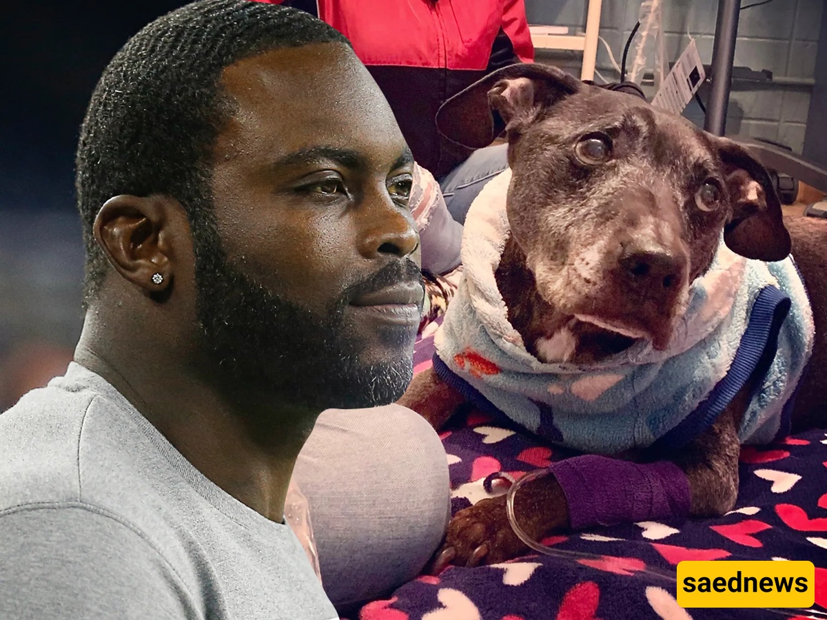 Michael Vick 