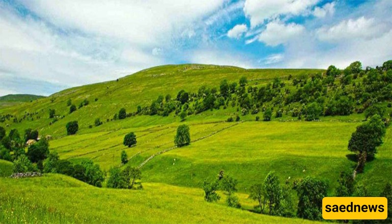 I Fell in Love With Iran’s Arjan Plain( A Hidden Zagros Eden 60 km from Shiraz)