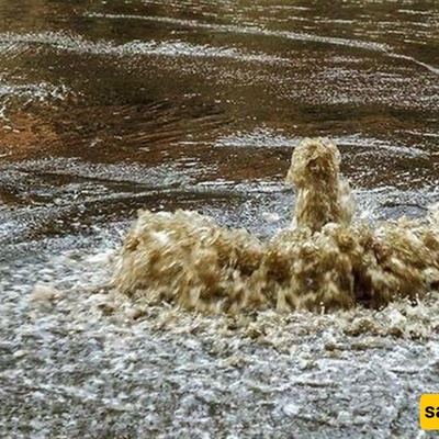 Sewage Floods in Israeli Cities; Beit Shemesh Also Drowns in Stink