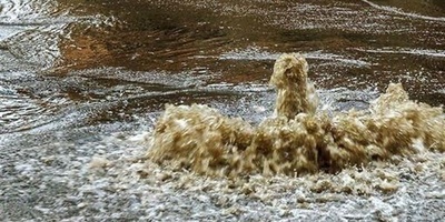 Sewage Floods in Israeli Cities; Beit Shemesh Also Drowns in Stink