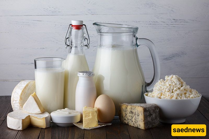 Dairy Products 