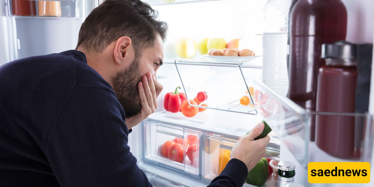  Refrigerator Odors