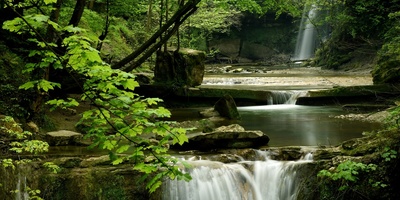 Seven Waterfalls Hidden in Mazandaran: A Journey Into the Lush Forest of Tirkon