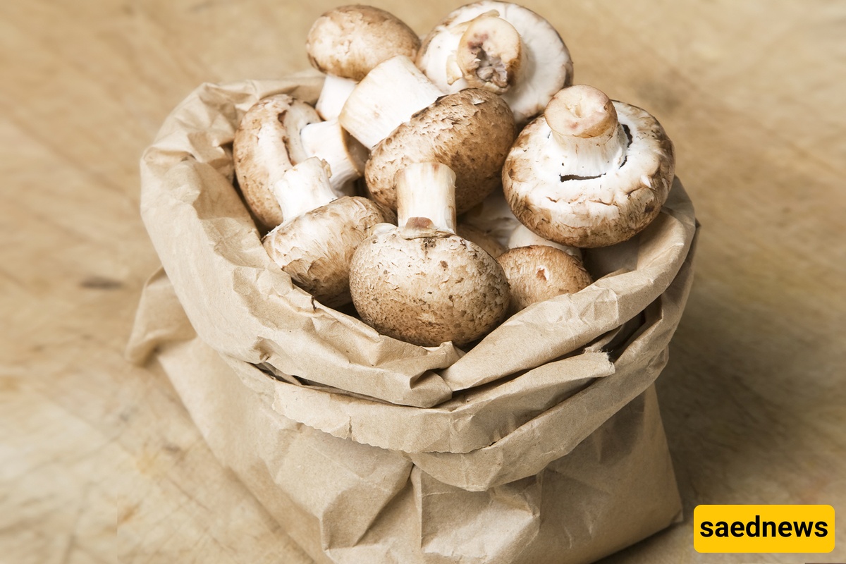 Mushrooms 