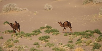Seh Qaleh Desert in Eastern Iran: The Hidden Gem Every Desert Explorer Must See