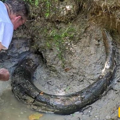 Mysterious Object by the River Turns Out to Be a 10,000-Year-Old Ivory Artifact [Photos]