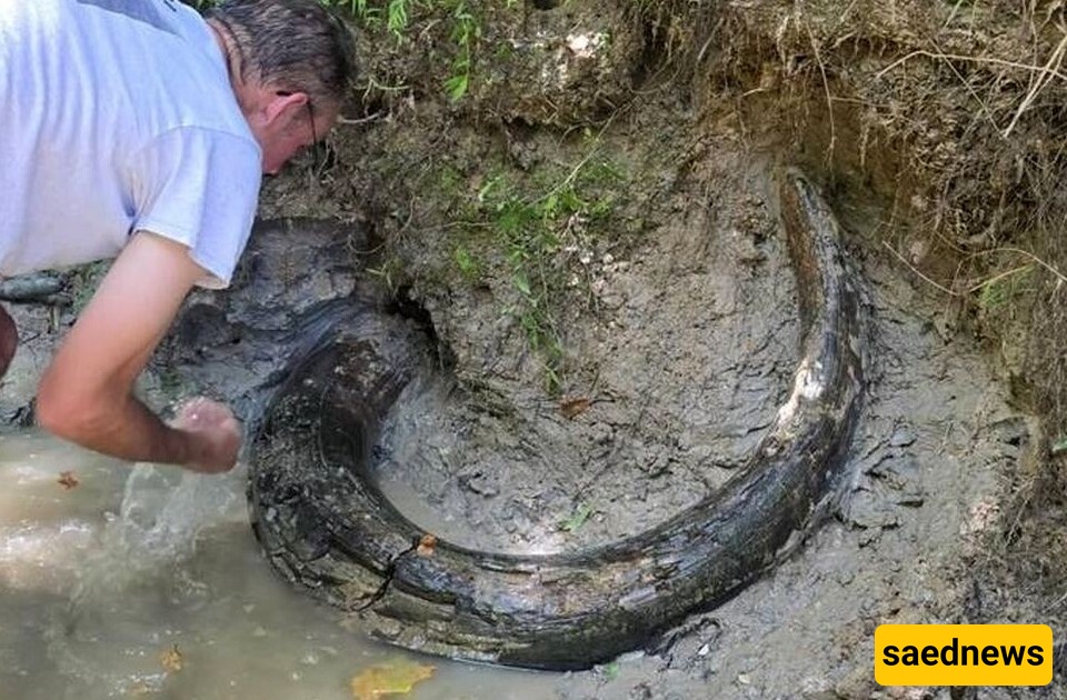 Mysterious Object by the River Turns Out to Be a 10,000-Year-Old Ivory Artifact [Photos]
