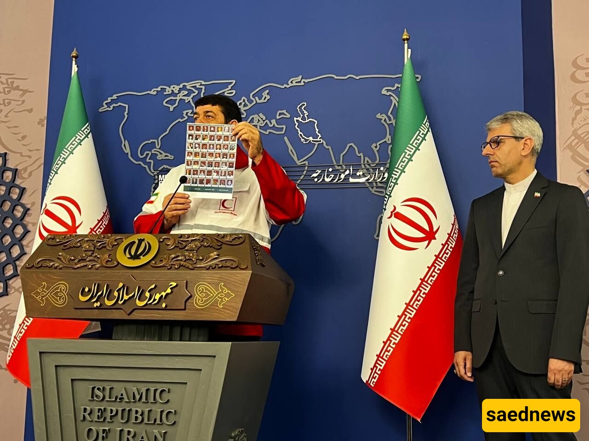 Israel ‘Deliberately’ Targeted Iranian Red Crescent Teams: Official