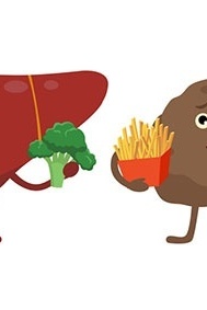 7-Day Miracle Plan for Fatty Liver: What to Eat and What to Avoid