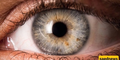 Blood in the Eye: Normal or a Warning Sign?