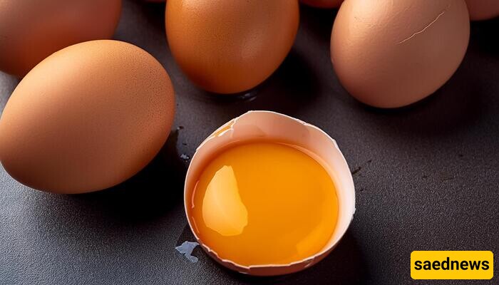 Egg Yolk