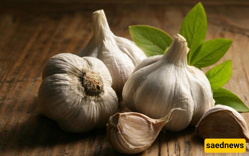 garlic