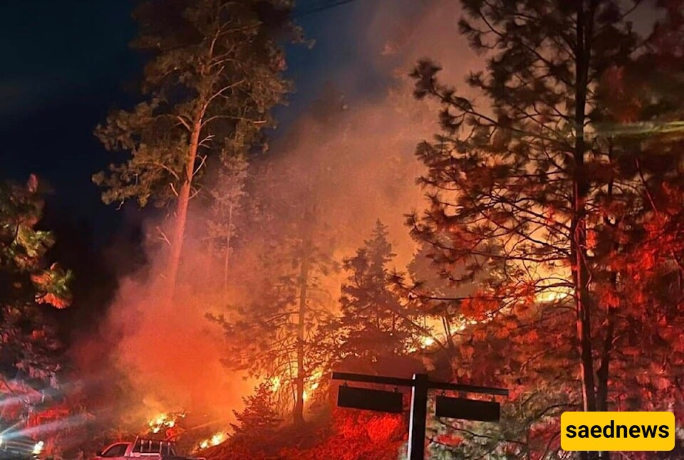 Southern California Wildfire Ravages Hillside Homes, Causing Widespread Destruction