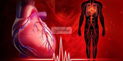 Exciting and Fascinating Images of the Heart’s Rhythm Without an ECG Machine – A Stunning Fusion of Art and Science! +Video