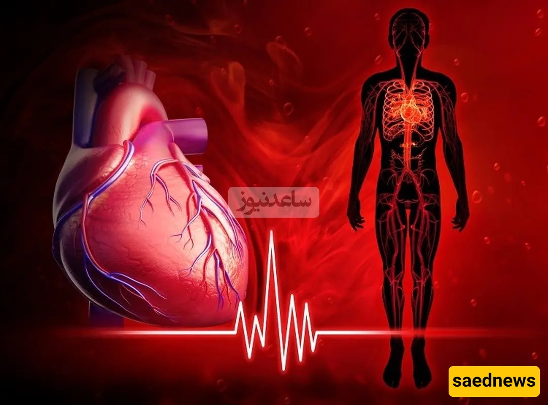 Exciting and Fascinating Images of the Heart’s Rhythm Without an ECG Machine – A Stunning Fusion of Art and Science! +Video
