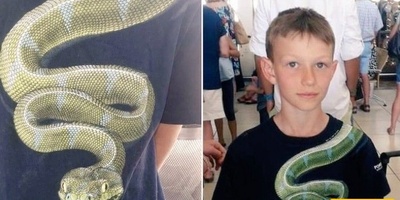 The Troublemaking Shirt That Prevented Its Owner From Boarding the Plane
