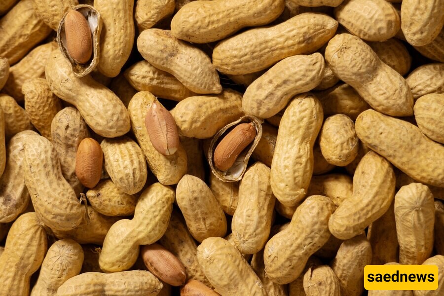  Peanuts 