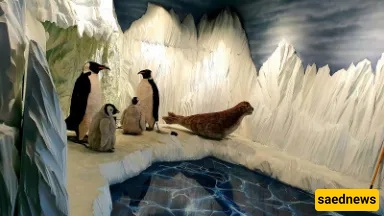 Polar Zone