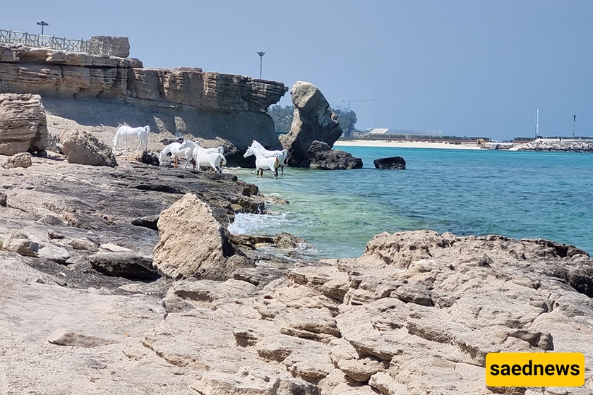Marjan beach