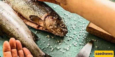 Best Ingredients for Removing Fish Odor: From Citrus Peels to Milk and More