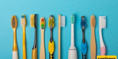Shocking Benefits of Brushing Your Teeth + All Its Advantages