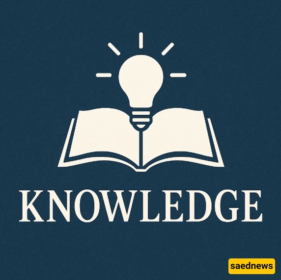 Knowledge 