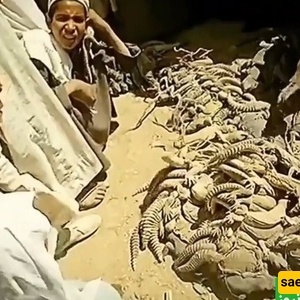 A Strange Account of Life in Saudi Arabia 80 Years Ago: Would You Believe They Ate Lizards?