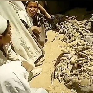 A Strange Account of Life in Saudi Arabia 80 Years Ago: Would You Believe They Ate Lizards?