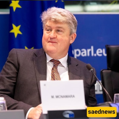 EU Lawmaker Exposes Israeli War Crimes and Aggression Against Iran: Iranian Foreign Ministry Reacts