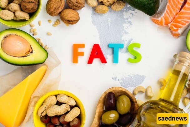 How Much Fat Are We Allowed To Consume Per Day? Are All Fats Harmful To The Body?