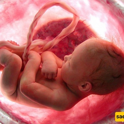 Best Method For Growth And Weight Gain Of Fetus During Pregnancy