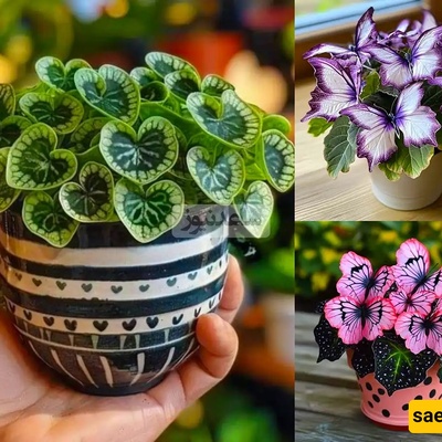Creative Ideas for Plant Care — Turn Your Home into a Lush Green Paradise!