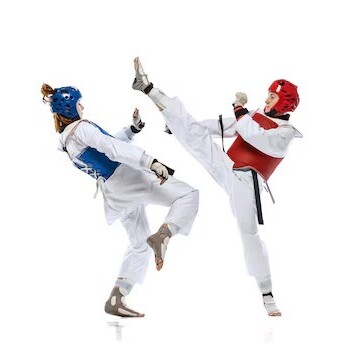 What is the Difference Between Karate and Taekwondo?