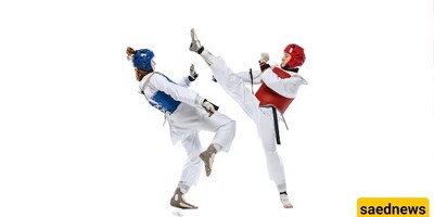 What is the Difference Between Karate and Taekwondo?