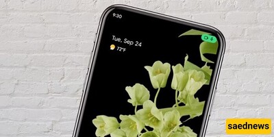 What Is the Green Dot at the Top of Samsung, Xiaomi, and Other Phones? Purpose and How to Manage It