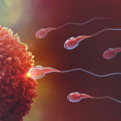 Unbelievable! The Egg Chooses in Reproduction, Not the Sperm!