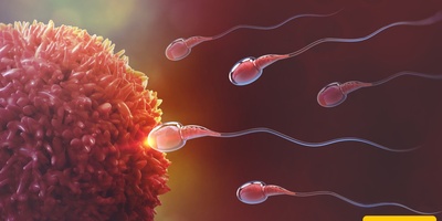 Unbelievable! The Egg Chooses in Reproduction, Not the Sperm!