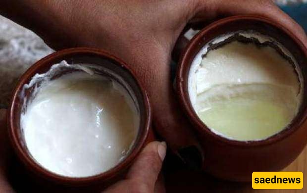 yogurt