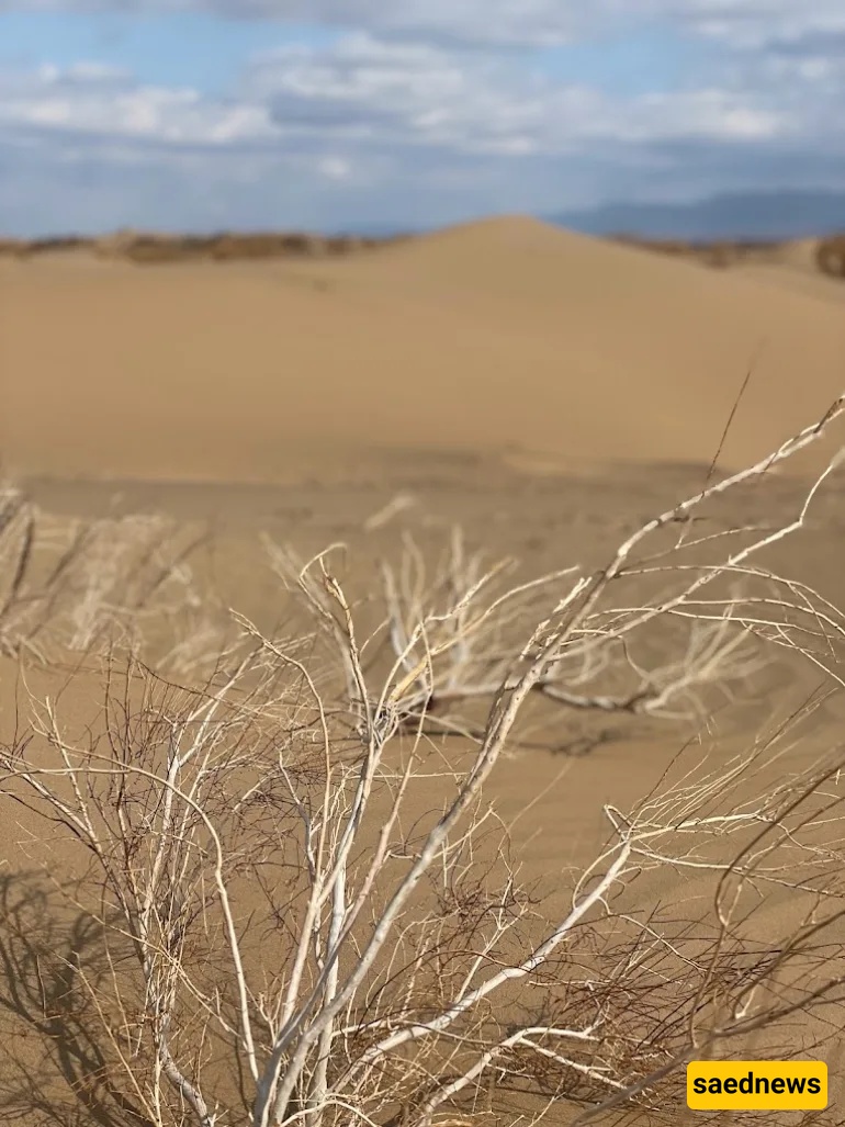 Tabas Desert