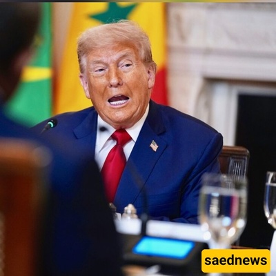 Trump’s Tariffs on Brazil: A Lose-Lose in the Economic War?