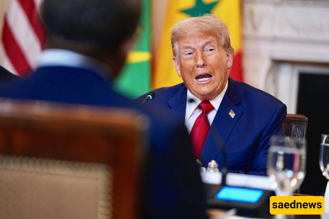 Trump’s Tariffs on Brazil: A Lose-Lose in the Economic War?