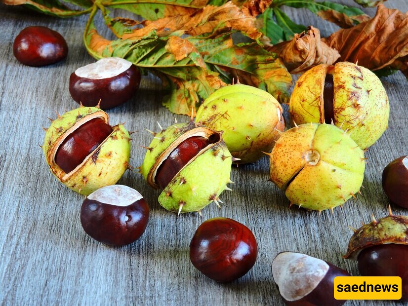 Chestnuts