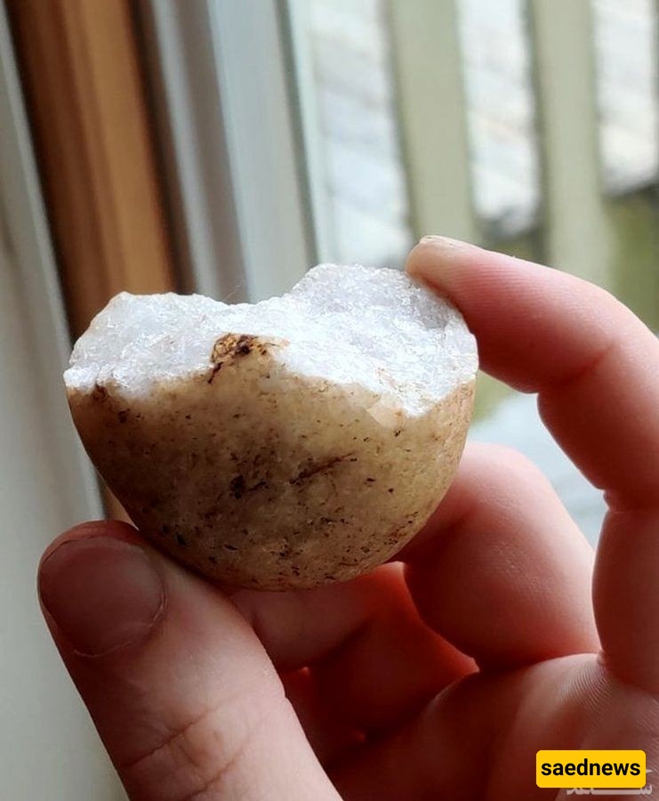 Edible Stones