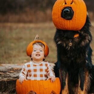 Photo | The Strange Relationship Between a Baby and Dogs / A Girl Who Walks Like a Dog and Eats Their Food