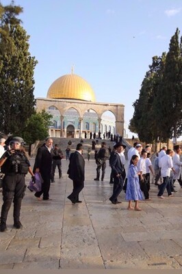 Illegal Israeli Settlers Storm al-Aqsa Mosque in Provocative Move