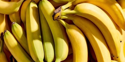 How to Keep Bananas From Turning Brown Too Quickly